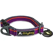 OllyDog Urban Trail Reflective Collar Wild Aster