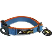 OllyDog Urban Trail Reflective Collar Air Blue
