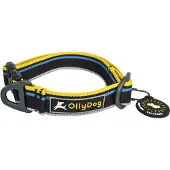 OllyDog Urban Trail Reflective Collar Anthracite