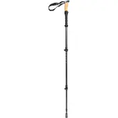 Pool 12 Speedstick Wading Pole2 Black