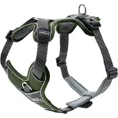 Hunter Divo Hundsele