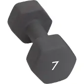 Abilica Hantel (7 kg)