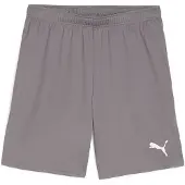 Puma Fotbollsshorts teamGOAL - Grå/Vit, storlek X-Small