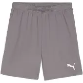 Puma Fotbollsshorts teamGOAL - Grå/Vit, storlek Medium