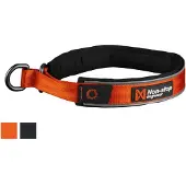 Non-Stop Dogwear Cruise Collar Orange