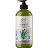 Petal Fresh Pure Seaweed &amp; Argan 475 Ml Duschgel