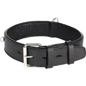Flamingo Rondo Riveted Hundhalsband