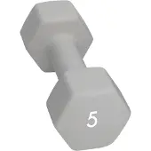 Abilica Hantel (5 kg)