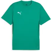 Puma Tränings T-Shirt teamGOAL - Grön/White, storlek Large