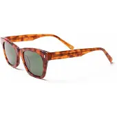 Ocean Sunglasses Nicosia Solglasögon