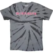 Ginza.se Iron Maiden: Unisex T-Shirt/Logo (Charcoal Grey) (Wash Collection) (Small)