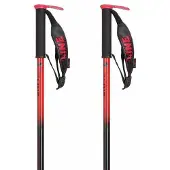 Line Pin 22/23 alpina skidstavar