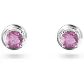 Swarovski Kristallörhängen för Damer 5639135