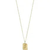 Pilgrim Halsband 'Zodiac Sign Capricornus' guld