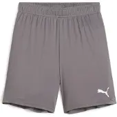 Puma Fotbollsshorts teamGOAL - Grå/Vit Barn, storlek 152 cm