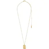 Pilgrim Halsband 'Zodiac Sign Aquarius' guld