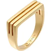 Elli PREMIUM Ring guld