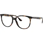 Ray-Ban 0RX4378V Solglasögon