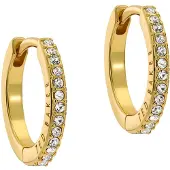 Ted Baker Örhängen guld / transparent
