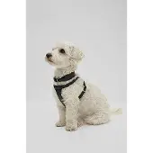 BOSS Dog harness in recycled leather