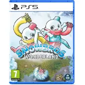 Ps5 Snow Bros Wonderland