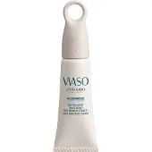 Shiseido Tinted treatment