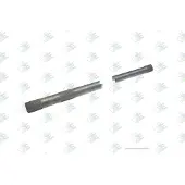 EURORICAMBI/MASIERO Differentiell utgående axel 60171065