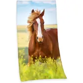 Herding Bad-/hushållshandduk för häst 75x150 cm - 100% bomull