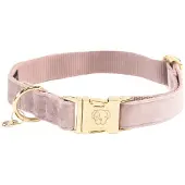 Kentucky Velvet Hundhalsband