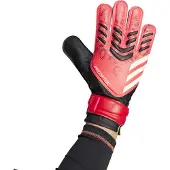 Adidas Predator Training Målvaktshandskar