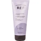 Ref Colour Boost Masque - Cool Silver Ash 200 ml - Ash Brown