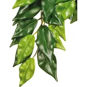 Hagen EXOTERRA ROSLINA FICUS M