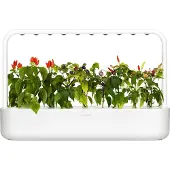Click & Grow Smart Garden 9, LED, 9 lamp(or)