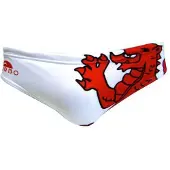 Turbo Wales Man Badbyxor