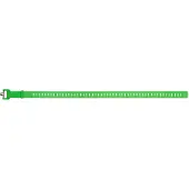 Black Diamond Ski Strap Envy Green