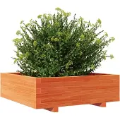 vidaXL Odlingslåda vaxbrun 80x80x26,5 cm massiv furu