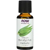 NOW,NOW Foods,NOW,NOW Foods Foods, Essential Oil, Eucalyptus Radiata, 1 fl oz. (30ml)