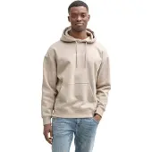 Tom Tailor DENIM Sweatshirt taupe / vit