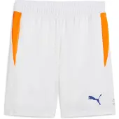 Puma Individual Training Shorts