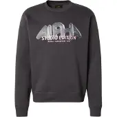 Alpha industries Sweatshirt 'Studio Edition Vibe' mörkgrå / pastellgrön / rosa