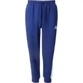 Adidas Seasonal Essentials Colorblock Byxor