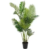 House Nordic Palmier artificiel 175 cm grön