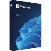 Microsoft MS Windows Professional 11 32/64 bit BOX USB PL