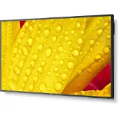 NEC 50-tums 4K Ultra HD-skärm