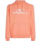 O'Neill Logo Huvtröja