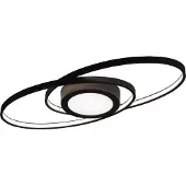TRIO Leuchten LED taklampa Galaxy, dimbar, Svart, Vardagsrum / matsal, Metall, Modern, LED-taklampa