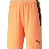 Puma Shorts Teamliga - Orange/svart, storlek X-Small