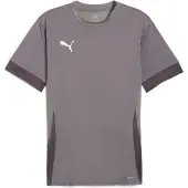 Puma Tränings T-Shirt teamGOAL - Grå/White, storlek X-Large
