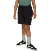 Dickies Youth Mapleton Sportshorts