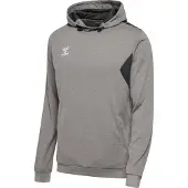 Hummel Authentic Pl Tröja Med Huva